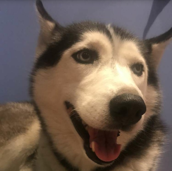 Meet your Posher, Sandra - Picture 1 of 1